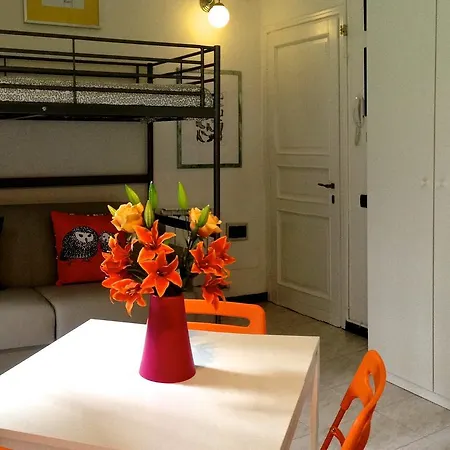 Design Studio * Introbio