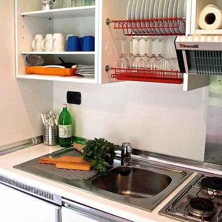 Design Studio Introbio